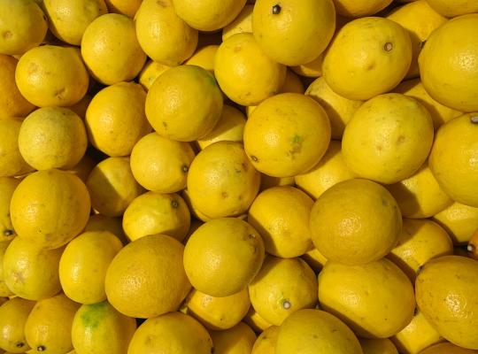 Lemon